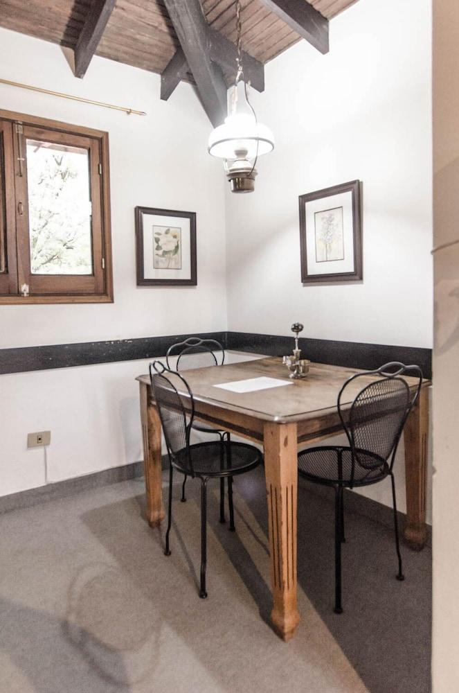 Bright Studio surrounded by trees