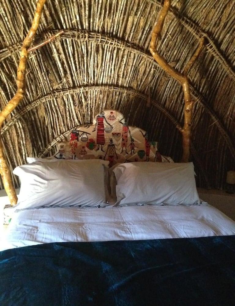 Swazi Dreams Nqabaneni Eco-Volunteering