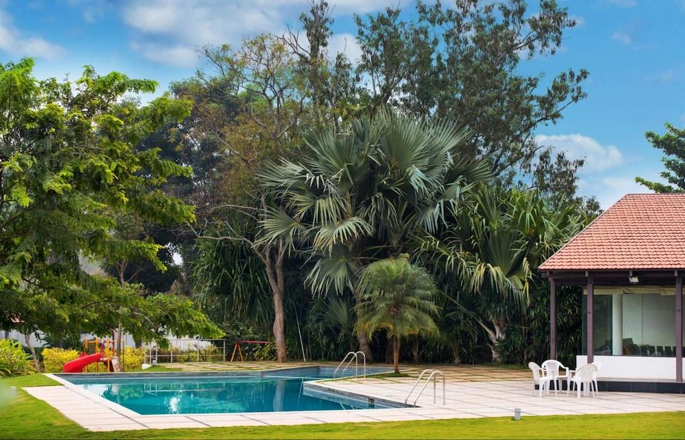 Tranquil Woods By Jade