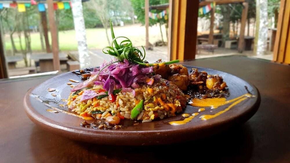 Kodkod Lugar de Encuentros