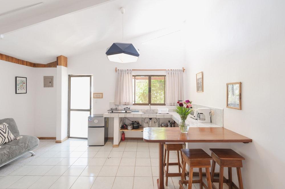 Maoritsio Garden studios