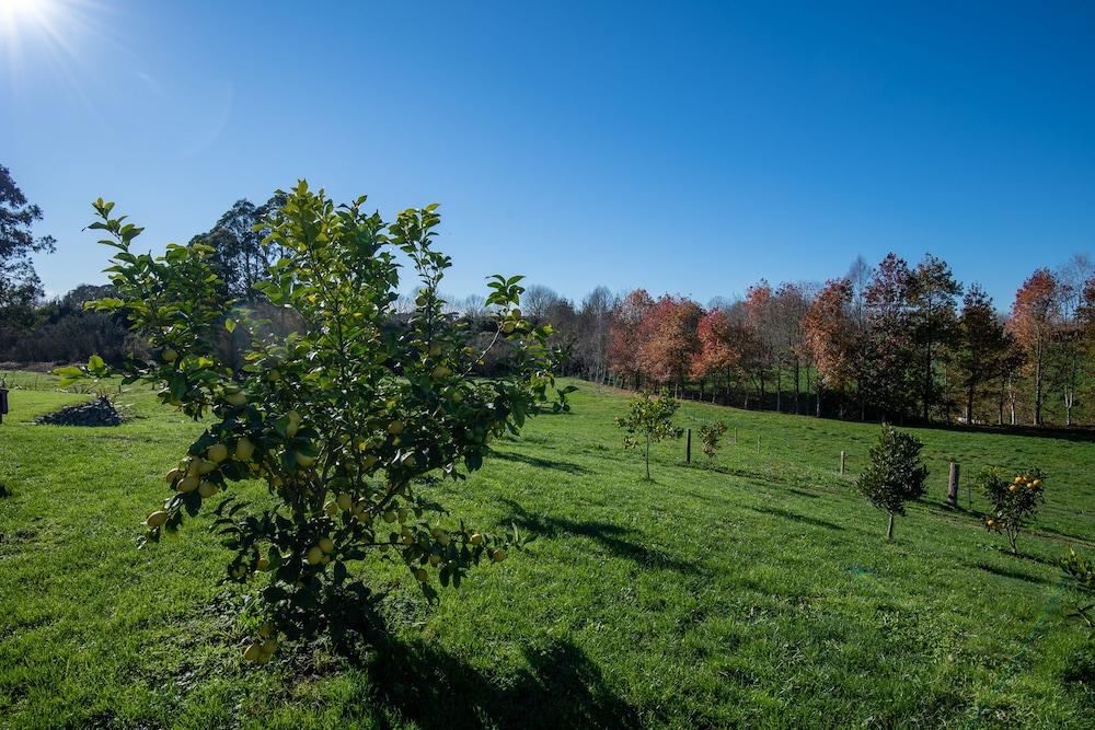 Essene Country Lodge