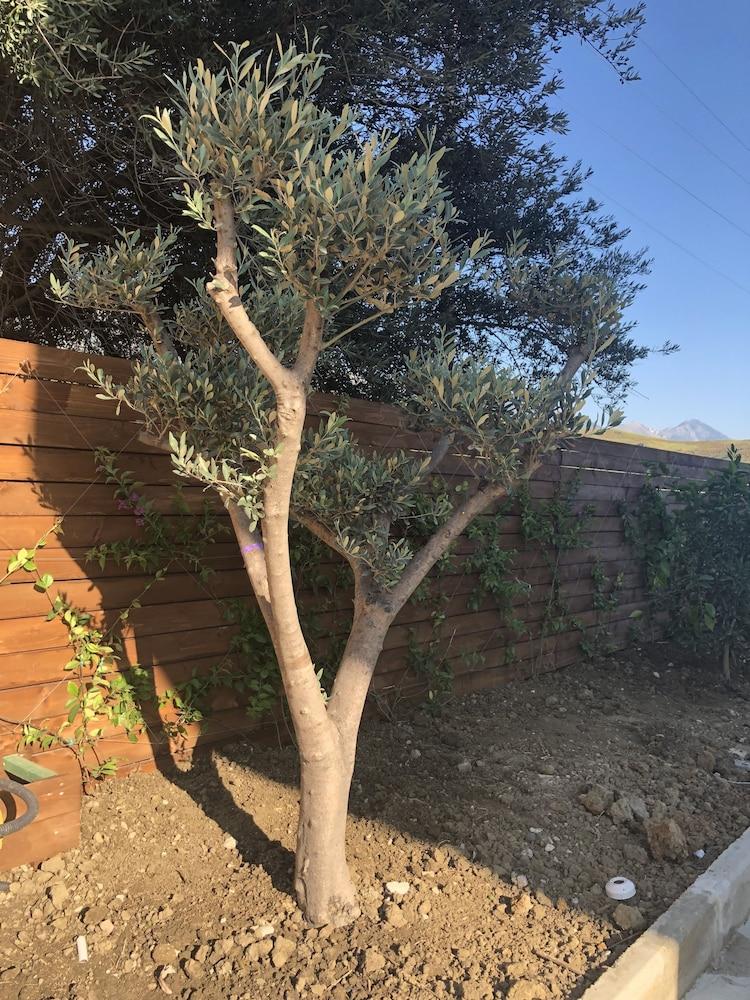 Vogue Boutique Hotel