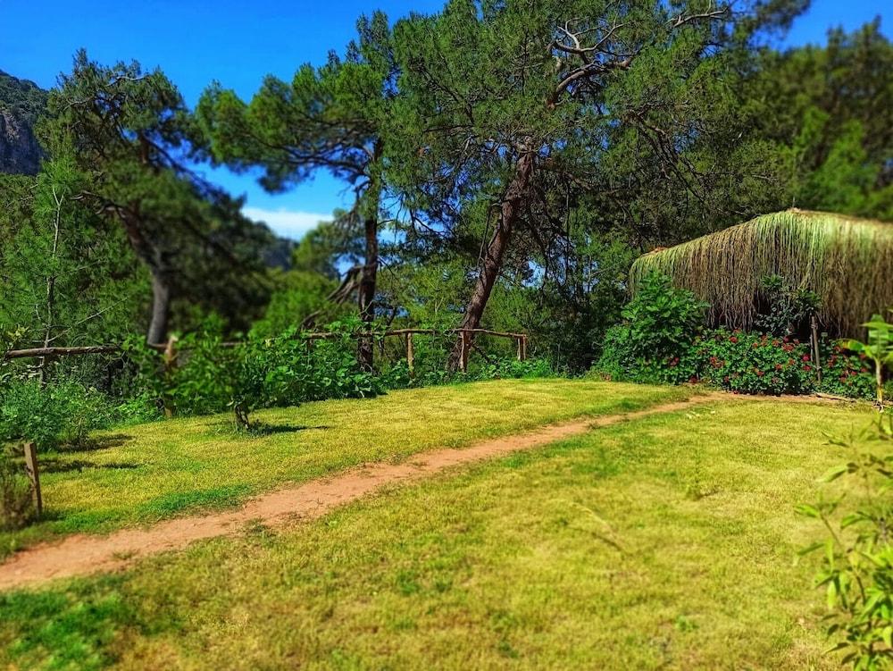 Kidrak Camping Namaste