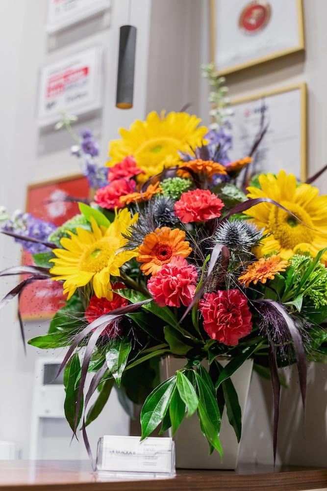 Apartamenty Bracka 6