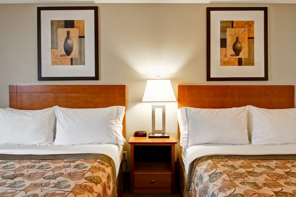 Canalta Jurassic – Drumheller