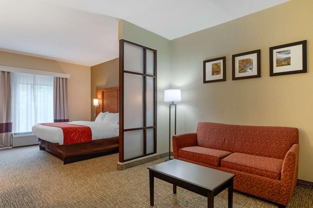 Comfort Suites Kingsport South