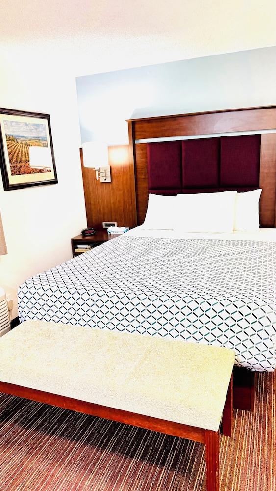 Morgan Inn And Suites