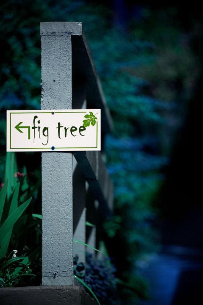 Healesville Apartments