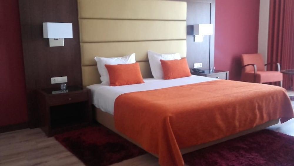 Palace Hotel & SPA Termas do Bicanho