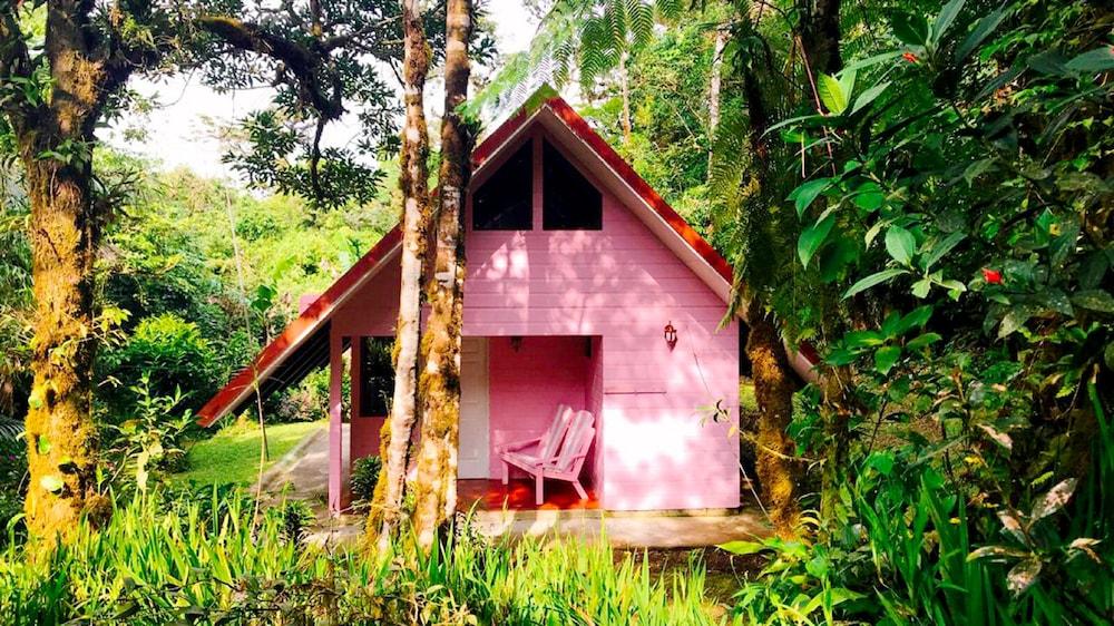 Cabañas Las Orquideas