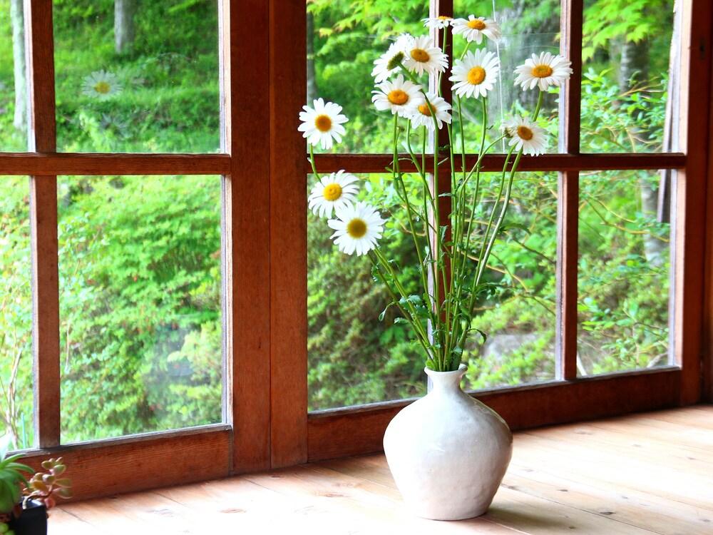 Guest House Pole Pole