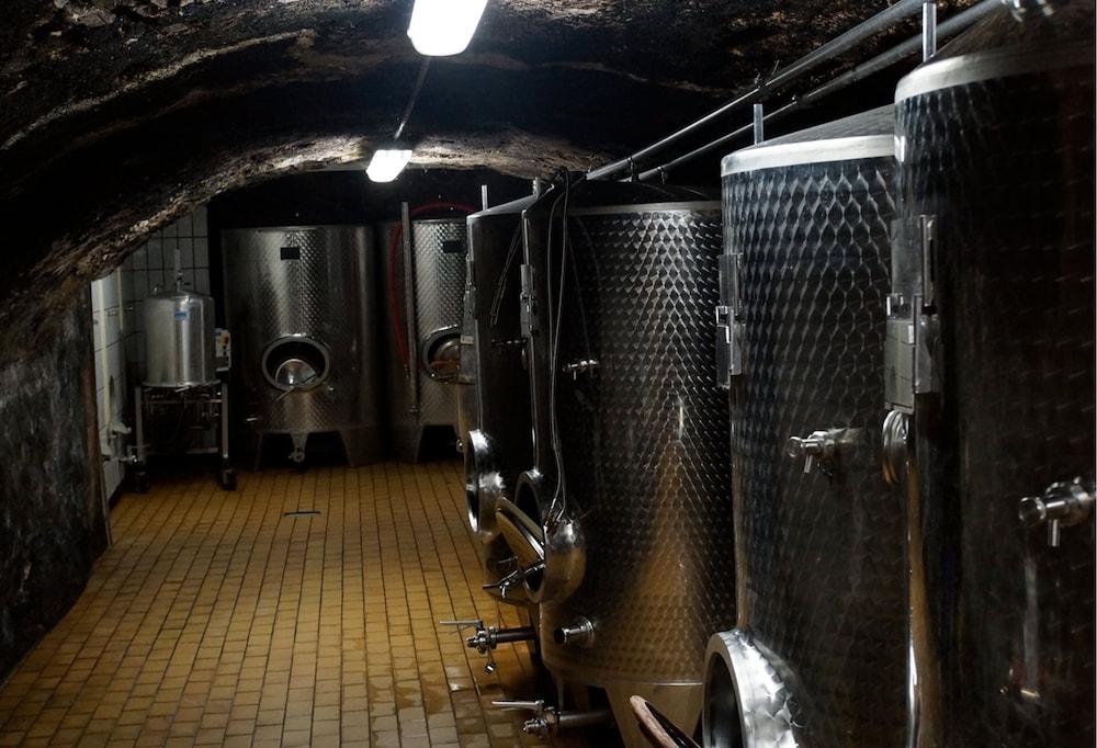 Classisches Weingut Hoffranzen