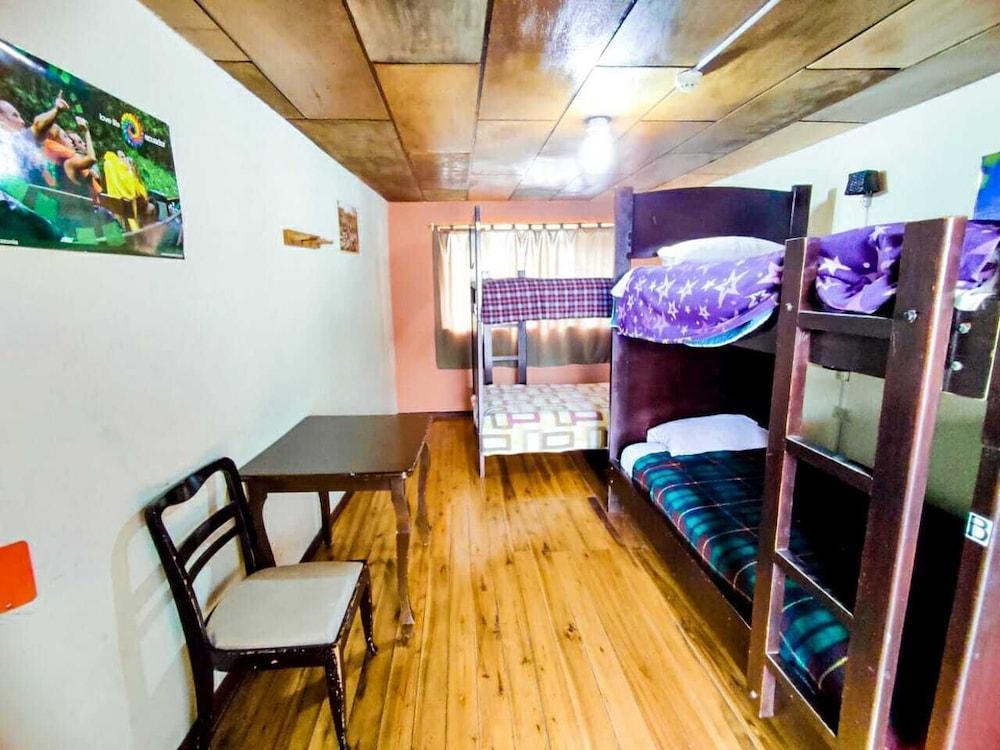Hostal la Guayunga - Hostel