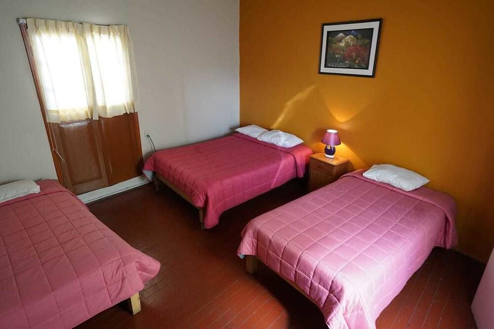 Deicychain House Arequipa