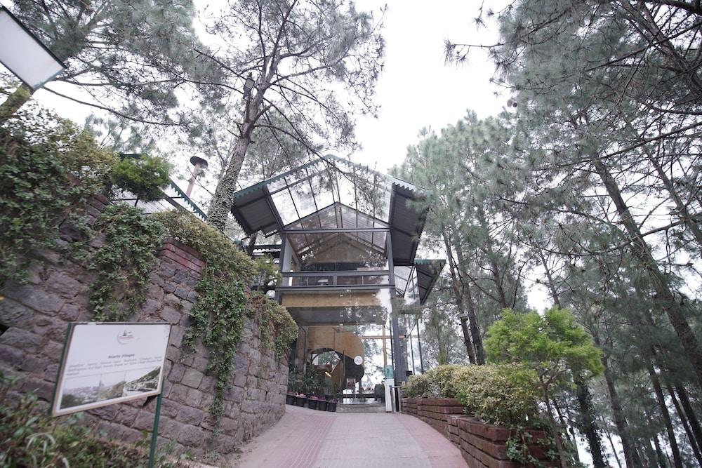 Kasauli Hills Resort