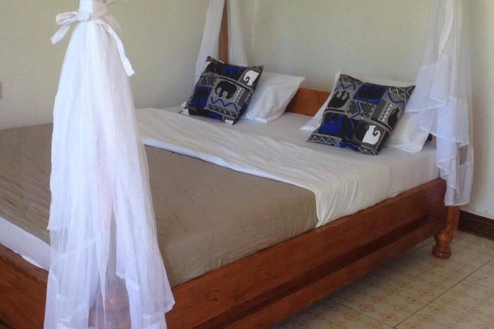 African wagtail hostel