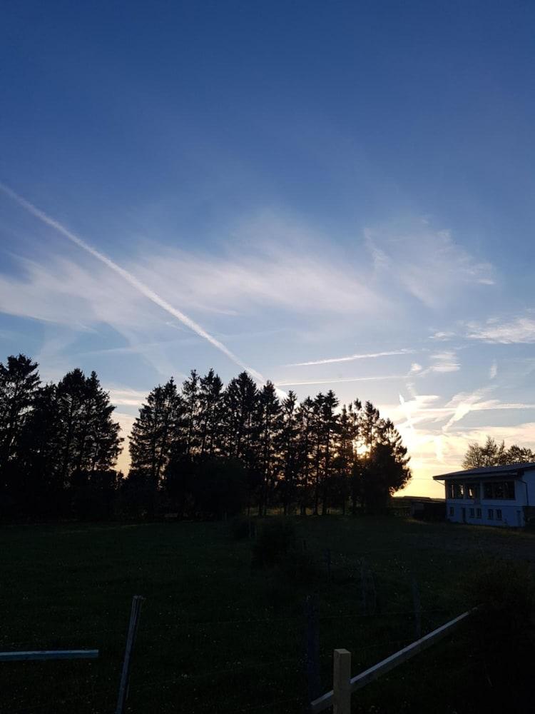 La bulle au bois dormant d'ovifat