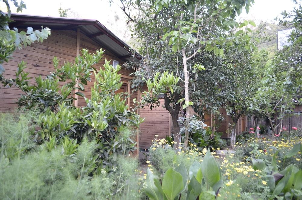 Olympos Mercan Bungalow