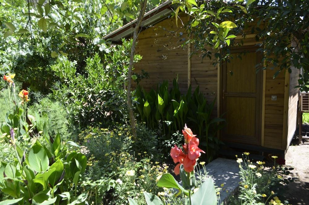 Olympos Mercan Bungalow