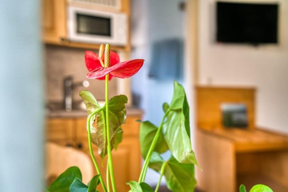 Gästehaus Weingut Politschek