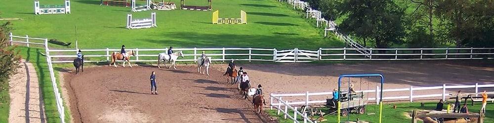 Ponyhof Naeve am Wittensee