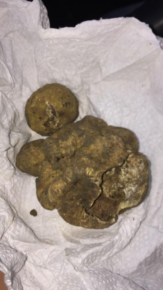 B&B Casale Il Poggio