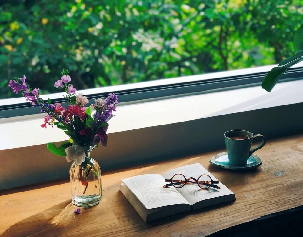 Little Friends Beyond B&B