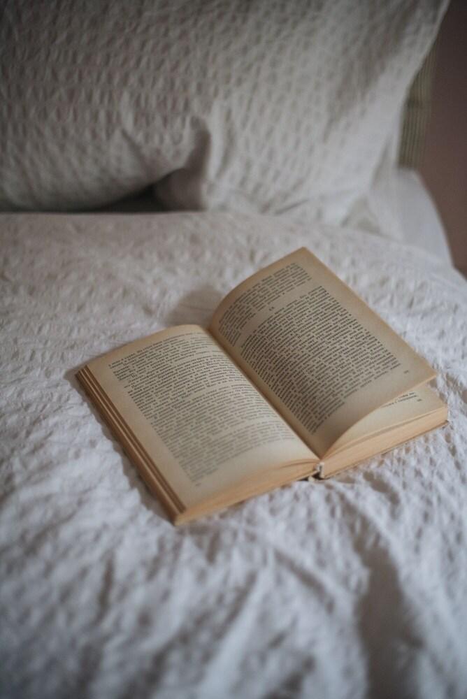 Glorious 2 Bedroom Apartment