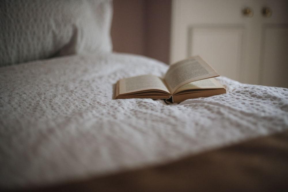 Glorious 2 Bedroom Apartment