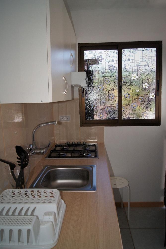 Agro Camping Invernaderito