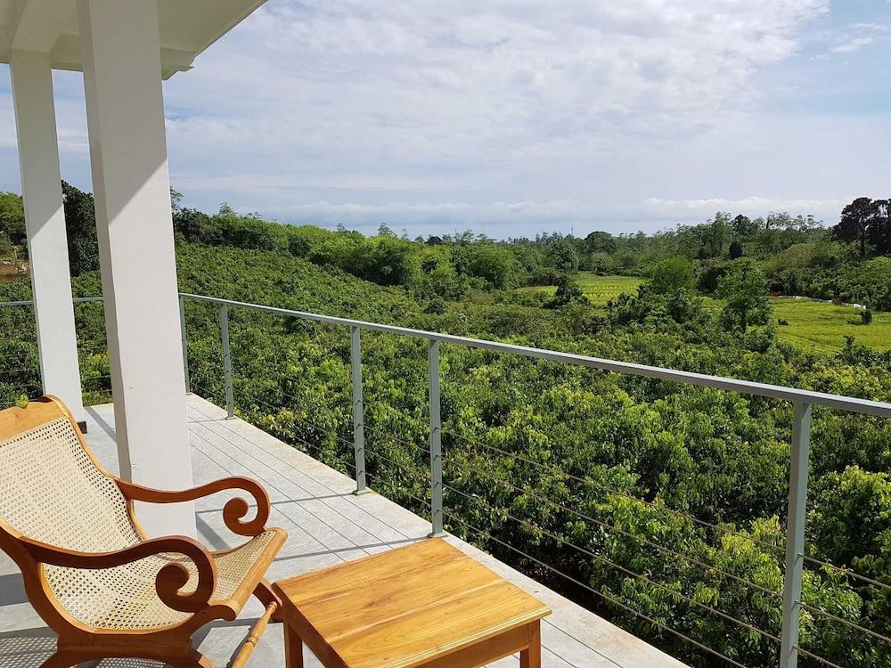 Bobos Cinnamon Estate  Sri Lanka