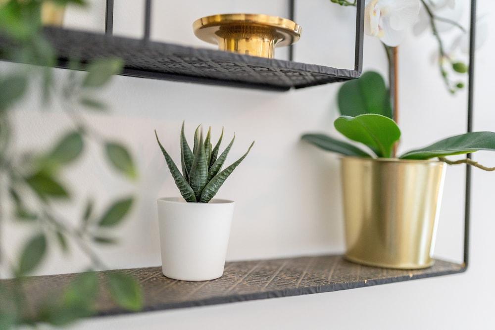 Phnix Central Luxury Accommodation