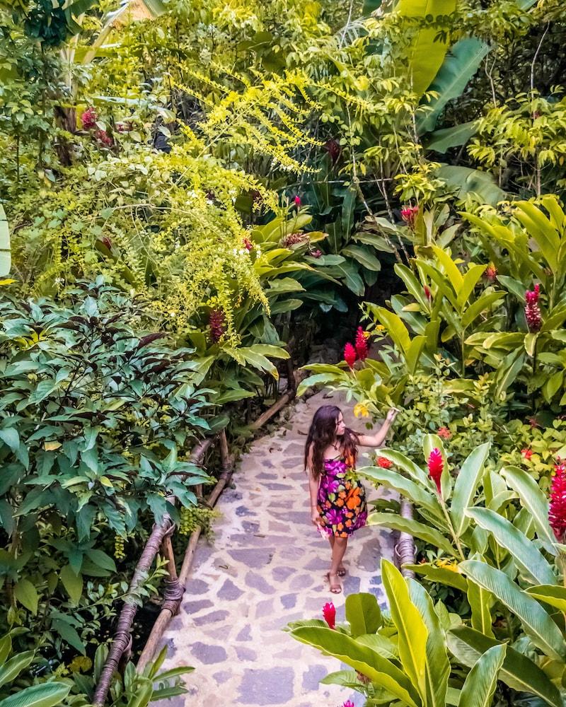 Dominican Tree House