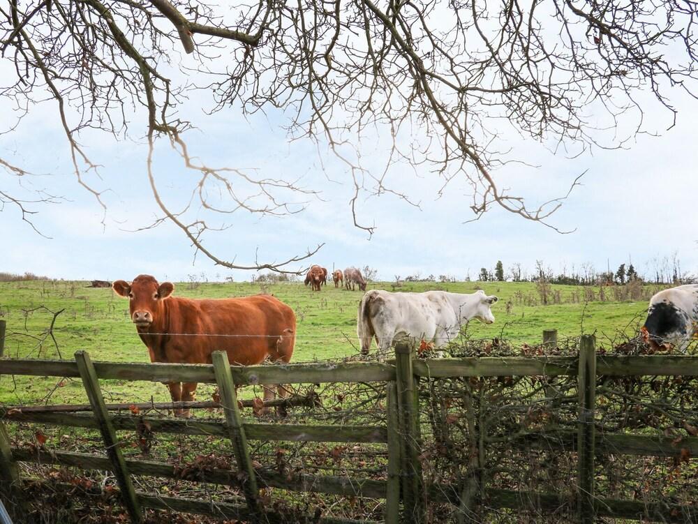 Manor Farm House Cottage