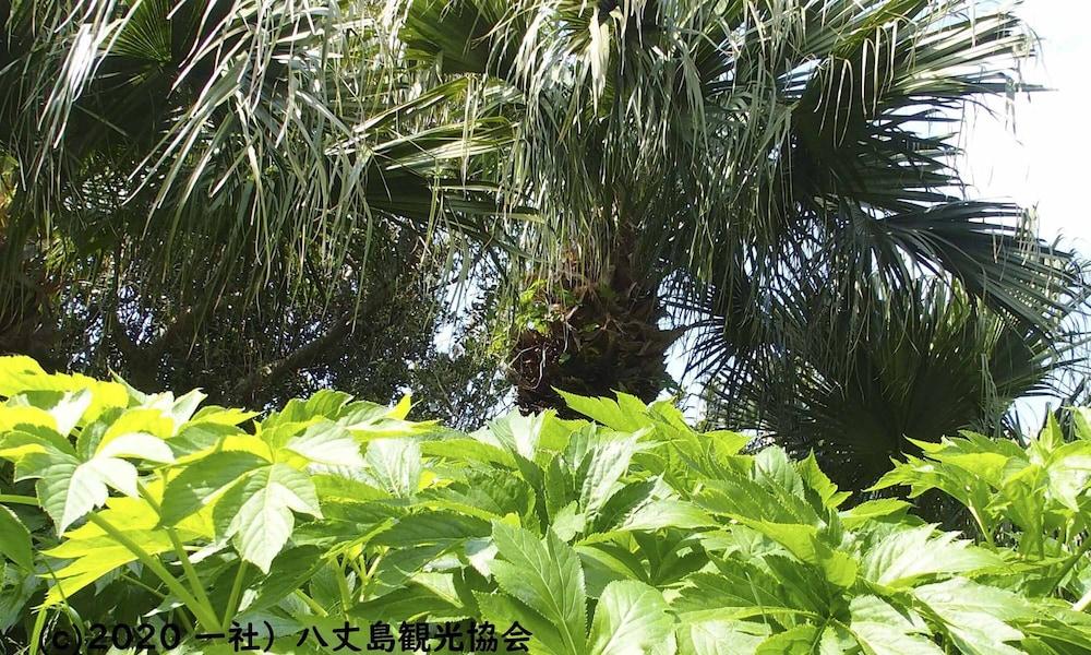 Kokumin Shukusha Sun Marina