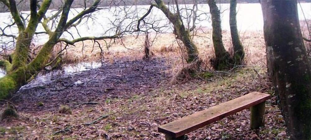 The Apartment at Mullans Bay