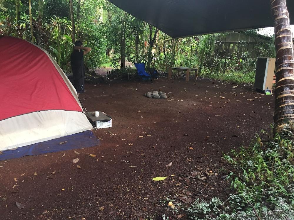 Cinderland EcoVillage - Hostel