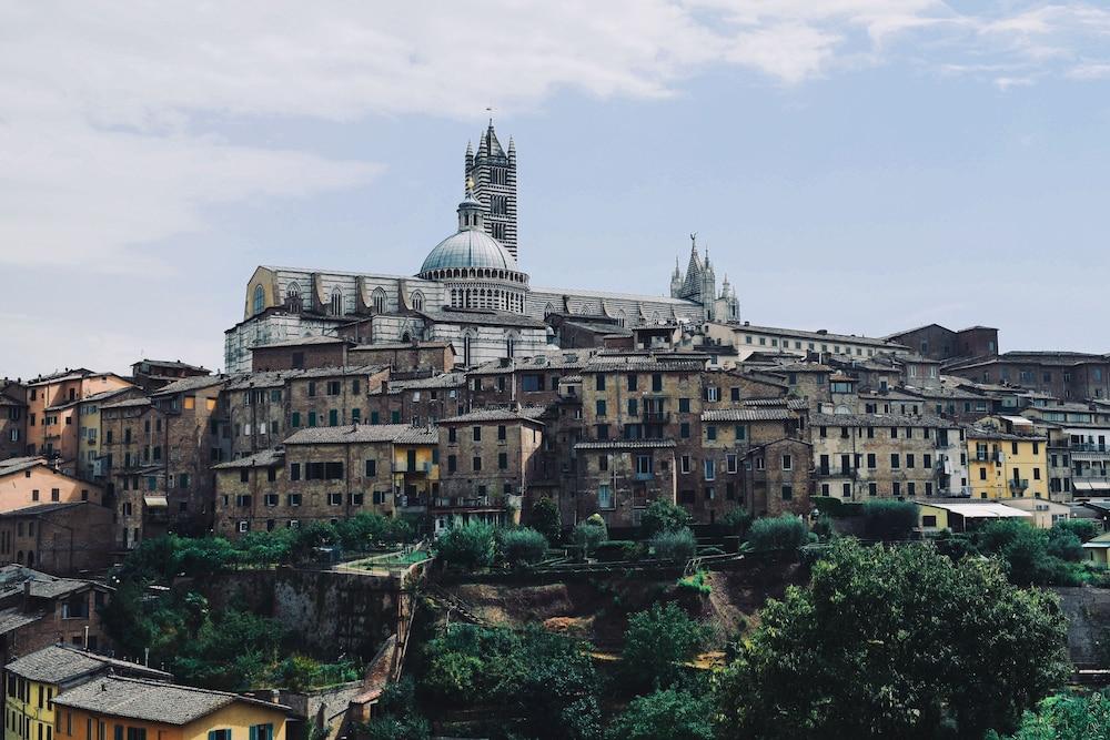 Rinidia Siena Celso Cittadini Grande