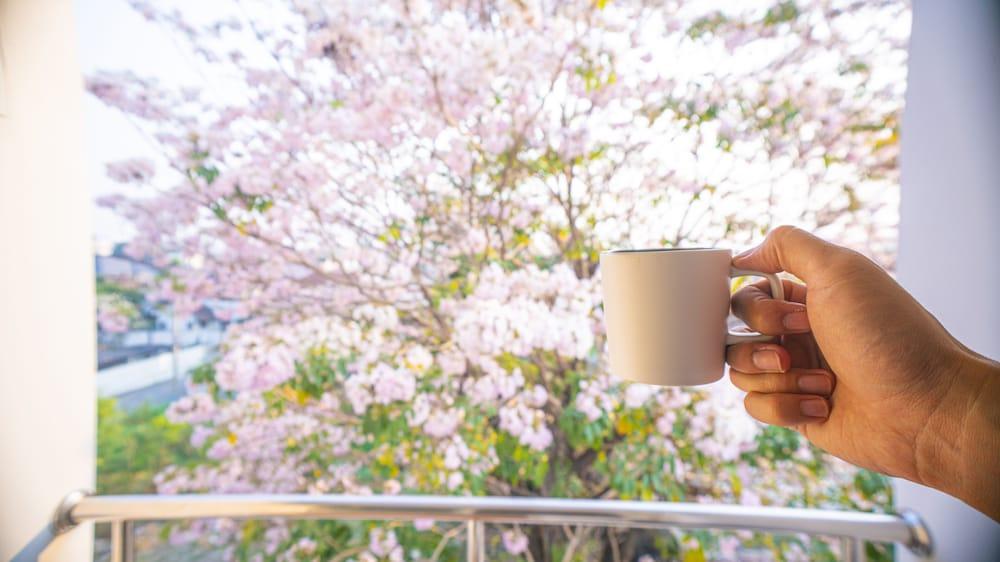 The Willing Hotel and Residence