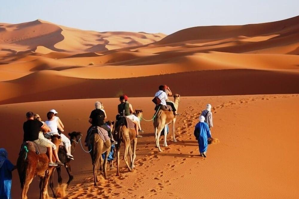Overnight Camel Trekking