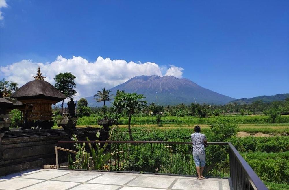 Hide Tumbuk Bamboo by Atharva Bali