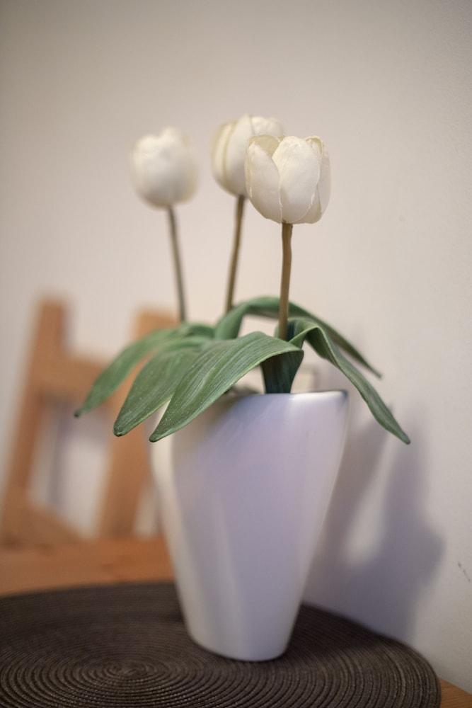 Victus Apartamenty - Gracja