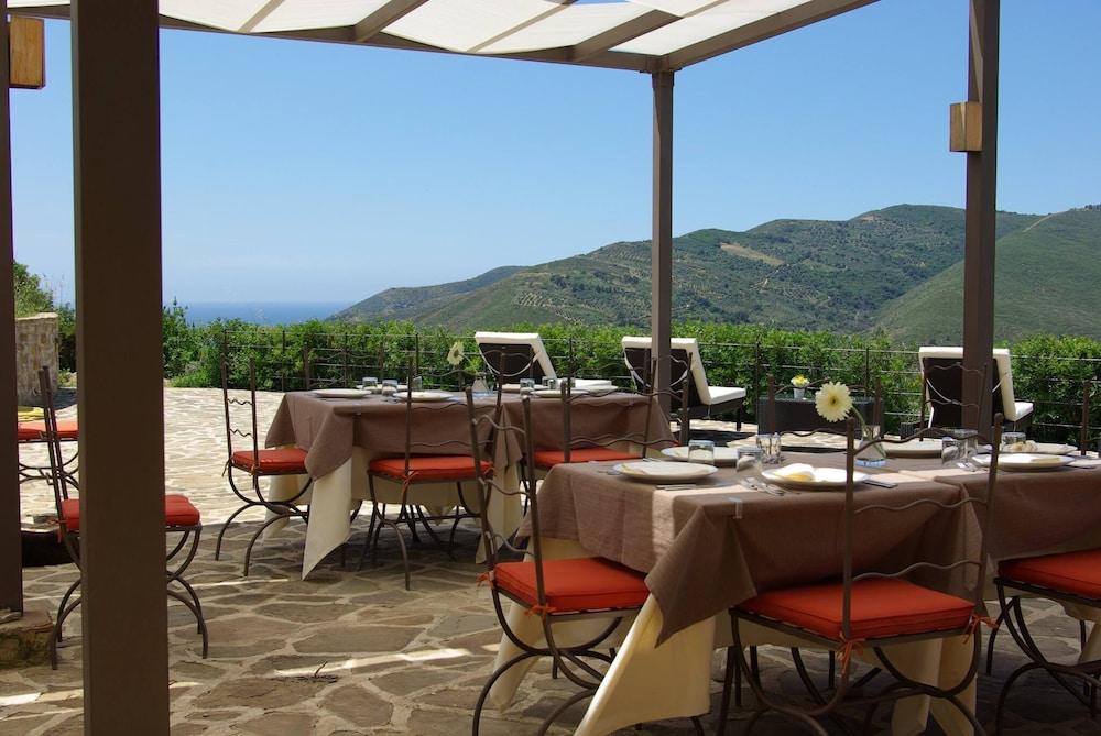 Sulle onde della collina