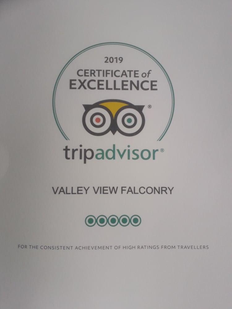 Rosie Traditional Gypsy Wagon