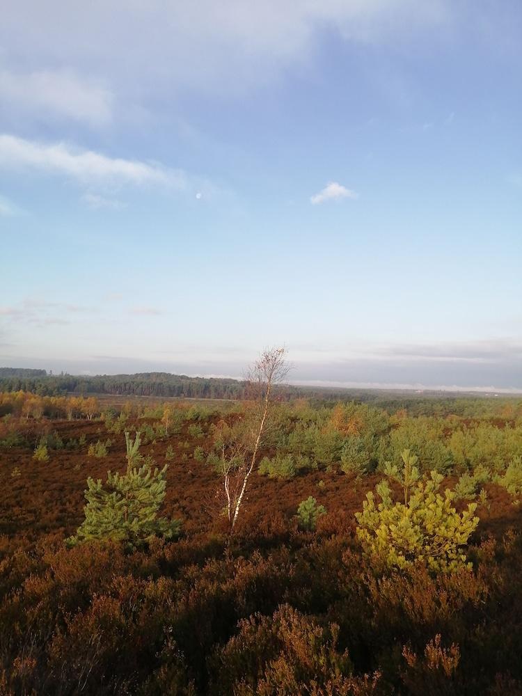 The Old Cook's House