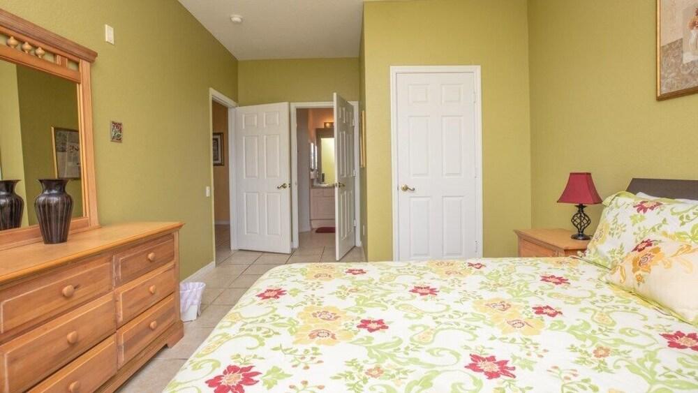 Beautiful Butterfly Palm