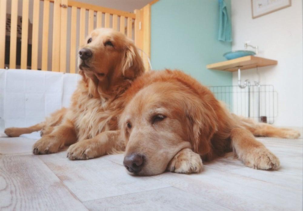 Riverside Hostel B&B – Hostel