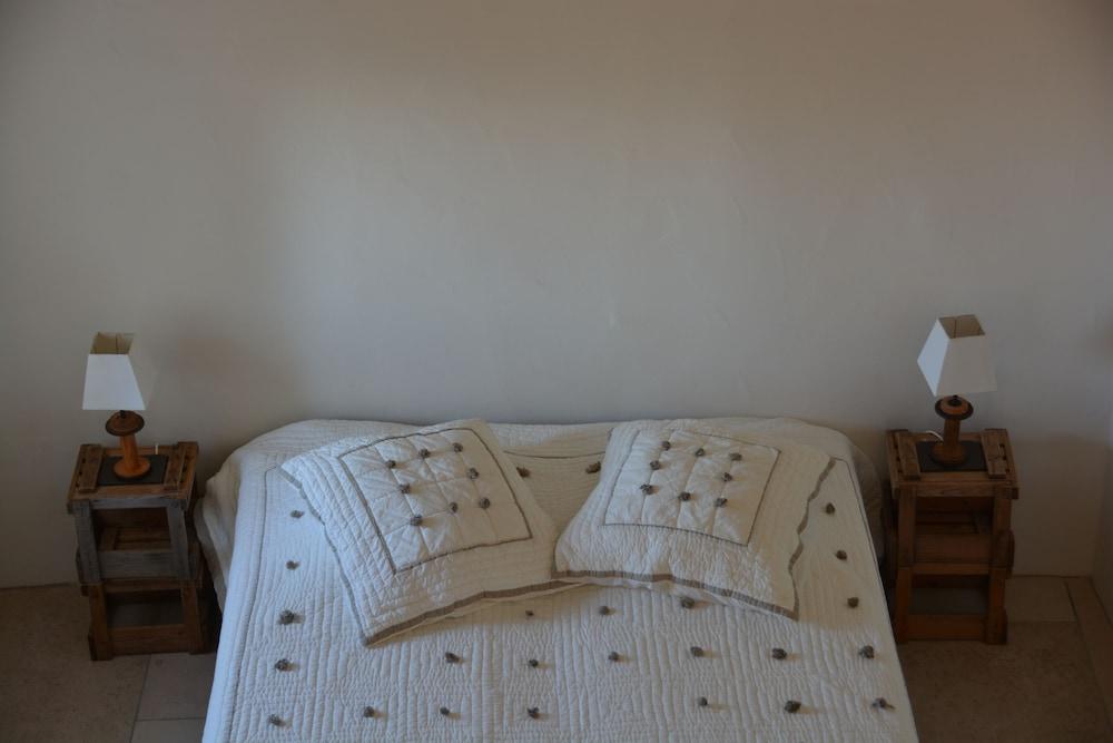 La Couleur des Vignes