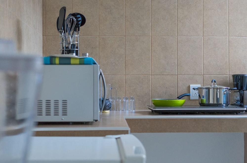 JUUB at THE CENTER OAXACA